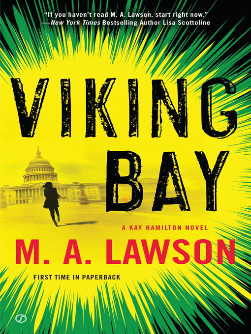 Cover image for Viking Bay